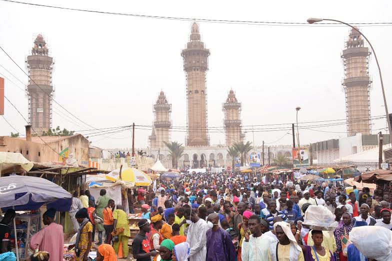 Touba : La dengue atterrit dans la capitale du mouridisme