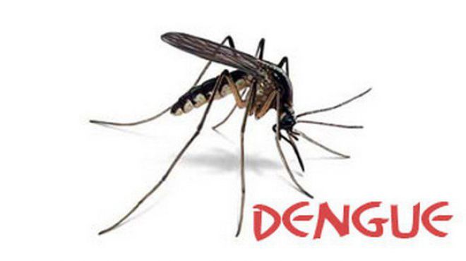 « Un cas de dengue identifié et pris en charge à Tivaouane », chef de la brigade spéciale d’hygiène