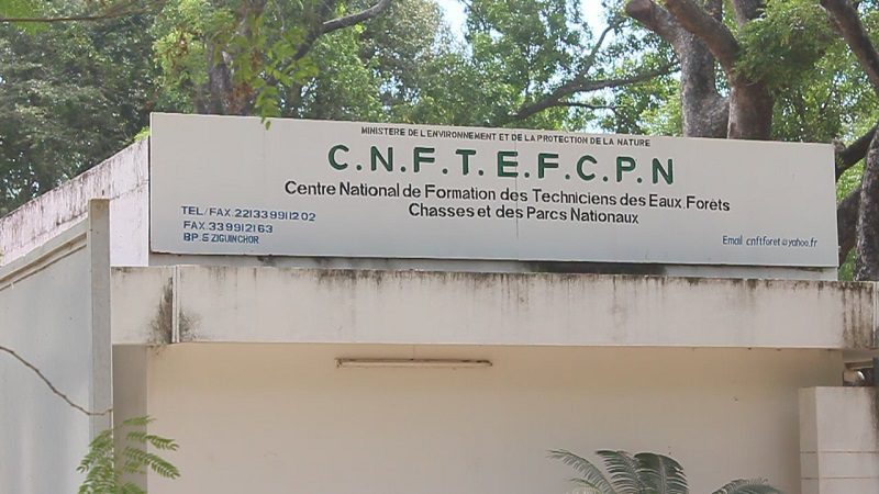 Ziguinchor : Grève de 72 H renouvelable au Centre National de Formation des Techniciens des Eaux et Forêts