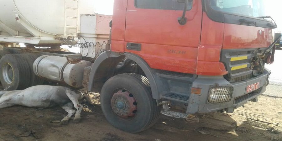 Drame sur la route de Kahone : Un charretier et son cheval mortellement percutés par un camion citerne malien