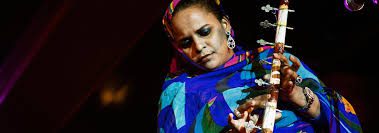 Noura Mint Seymali : Une belle découverte pour Saint-Louis Jazz !