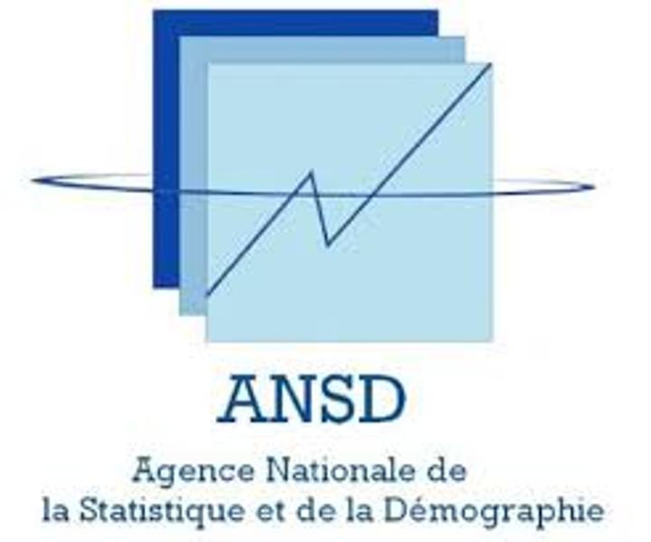 Marché du travail : La population active s’élève à 65% au 4e trimestre 2018 (ANSD)