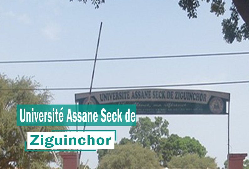 Université Assane Seck de Ziguinchor : Un étudiant blessé par une balle blanche évacué aux urgences de l’hôpital régional
