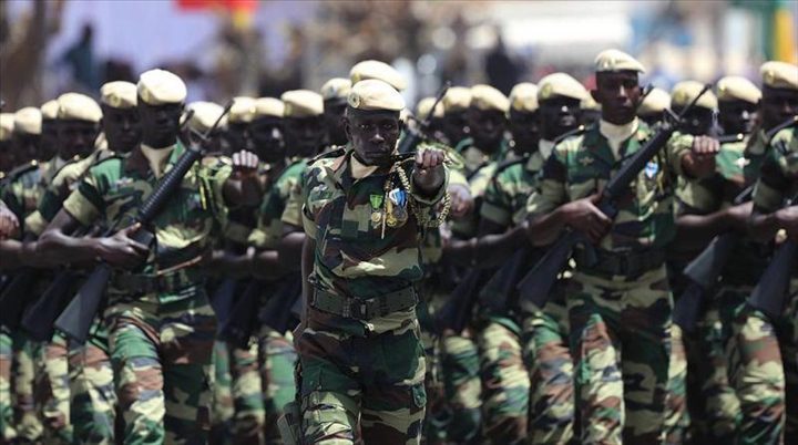 Armée nationale : 50 officiers supérieurs promus