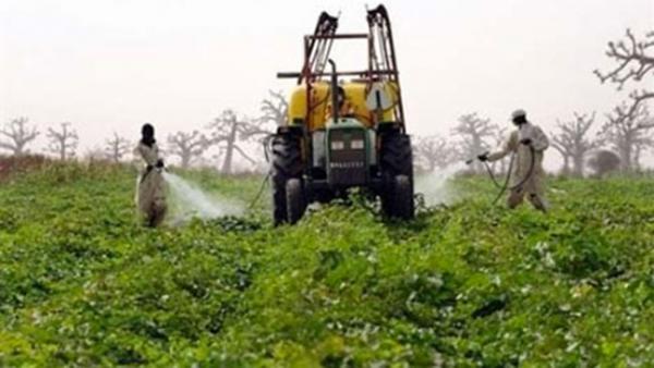 Kaffrine : Quelques 50 producteurs formés à l’utilisation de l’information climatique