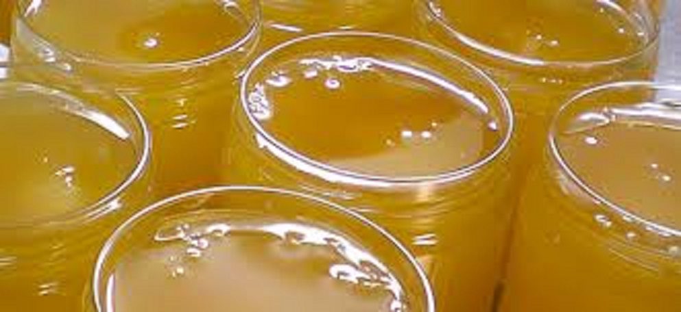 Apiculture : Une miellerie d’un coût de 30 millions inaugurée à Fimela