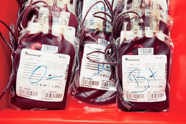 Pénurie de sang : Le directeur du Centre national de transfusion sanguine lance un SOS