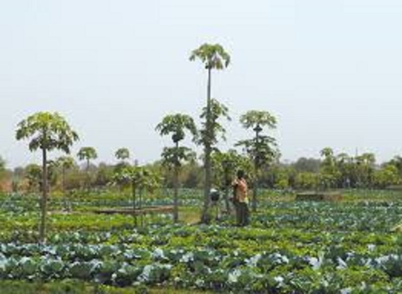 Troisième édition des journées de l’agro-écologique du 30 et 31 janvier