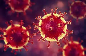 Coronavirus : 23 Sénégalais venus de la Chine, testés négatifs, à l’AIBD