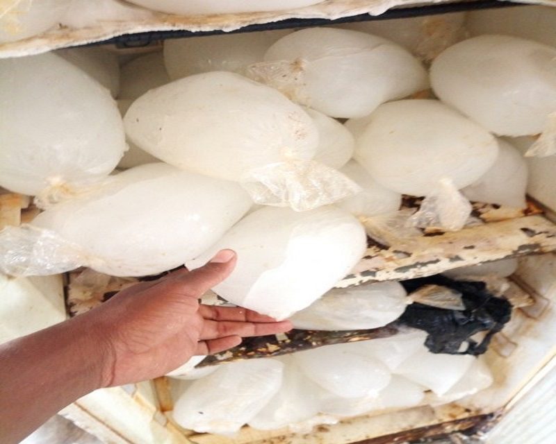 Matam : Forte canicule et ramadan, le prix de la glace flambe