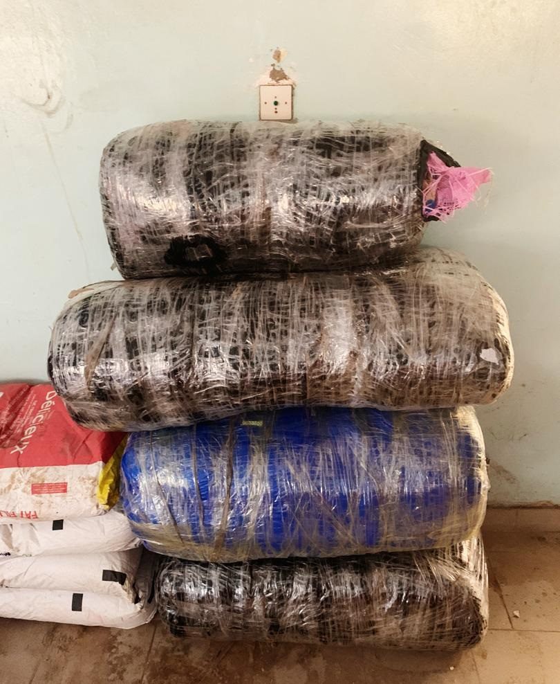 Ziguinchor : Saisie de chanvre indien d’une valeur de 10 millions de F CFA par la Douane