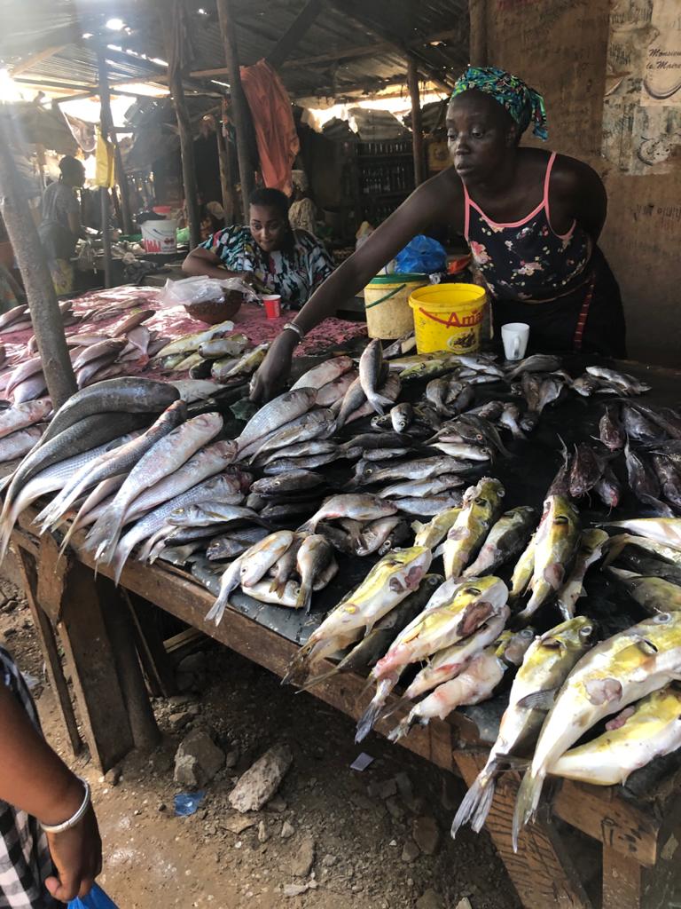 Vendeuses de poissons : A la rencontre de ces lève-tôt piliers du secteur primaire sénégalais