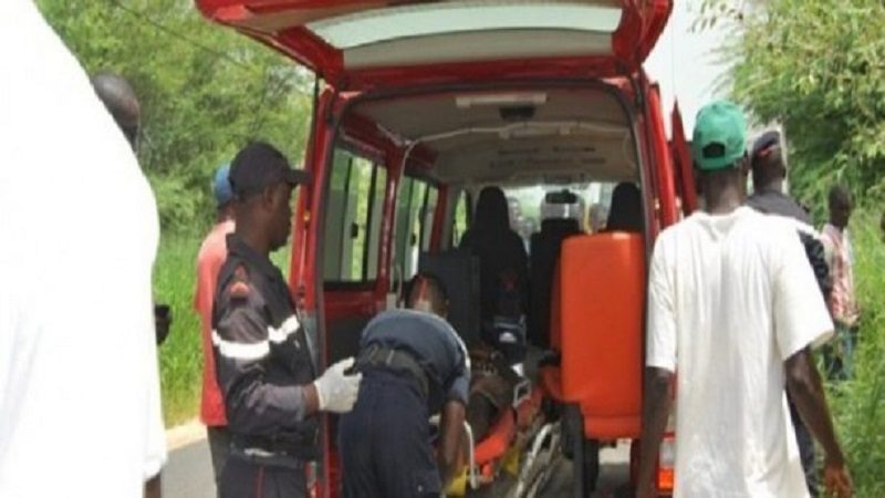 Kaffrine : Un homme de 55 ans tué à coups de coupe coupe par un jeune berger