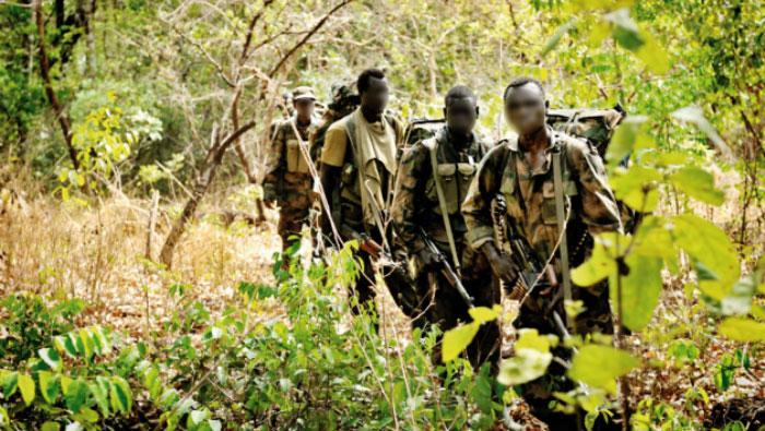 Ziguinchor : 9 exploitants forestiers spoliés et battus par une trentaine d’hommes armés dans la forêt classée de Bayotte Est