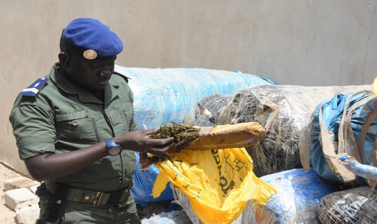 Brigade régionale des stupéfiants de Diourbel : 77 interpellations et 45,3 kg de drogue saisis en 2020
