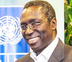 ONU : Un Sénégalais nommé Coordonnateur spécial pour le développement au Sahel
