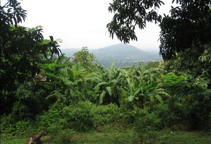 Le Sénégal procède au classement de neuf nouvelles forêts classées d’une superficie globale de 84.726 ha