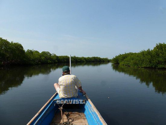 Iles du Saloum : L’Agence nationale des affaires maritimes promet l’érection d’infrastructures de transport fluvio-maritime