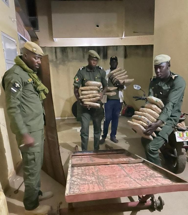 Kaolack : Encore une importante saisie de chanvre indien à Keur Ayib