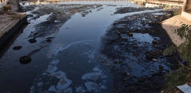 Dakar : « La dépollution du bassin de Dalifort est une urgence », dixit-le directeur de l’ONAS