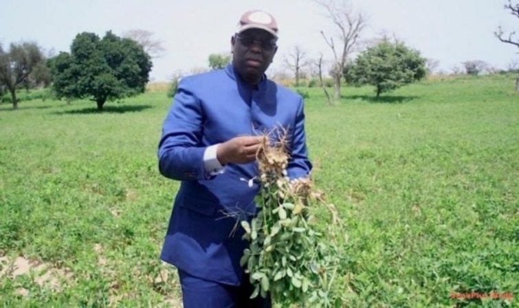 Campagne agricole 2022-2023 : Le budget porté à 70 milliards de FCFA