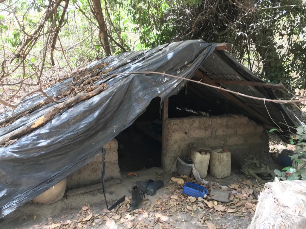 Opérations de sécurisation en Casamance : L’Armée récupère les bases de Niambalong et Madiédiane dans le Djibidione