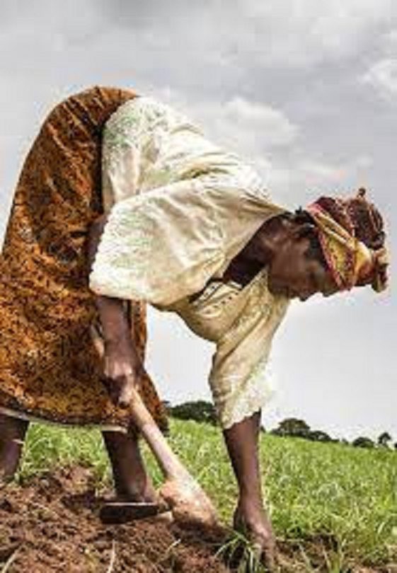 Agriculture : Des agricultrices attendent de l’Etat au moins 30% des terres documentées du pays