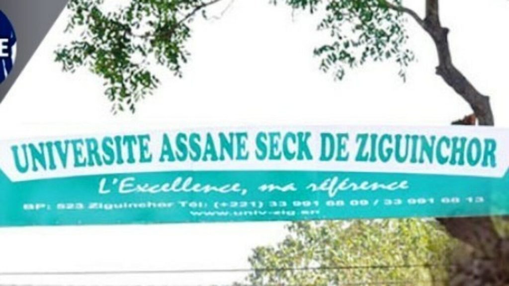 Ziguinchor : SAES décrète un mot d’ordre de grève de 48H non renouvelable