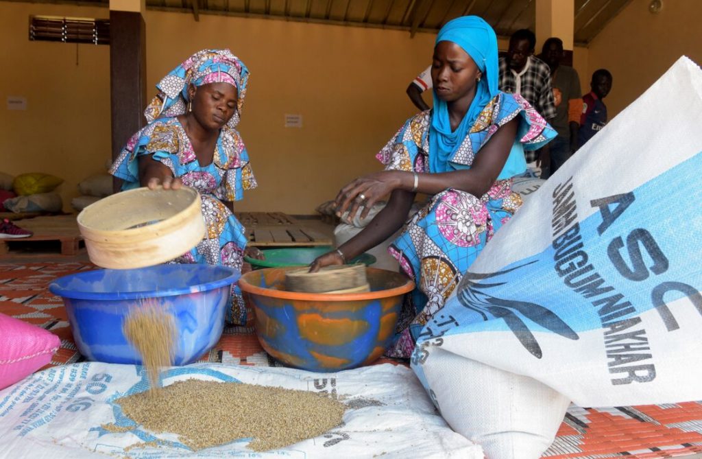 Entreprenariat et leadership féminin : 2,681 milliards de FCFA de contribution à la création de la valeur ajoutée (ANSD)