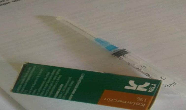 L’utilisation du vaccin Kelamectin est autorisée au Sénégal (Ministère)
