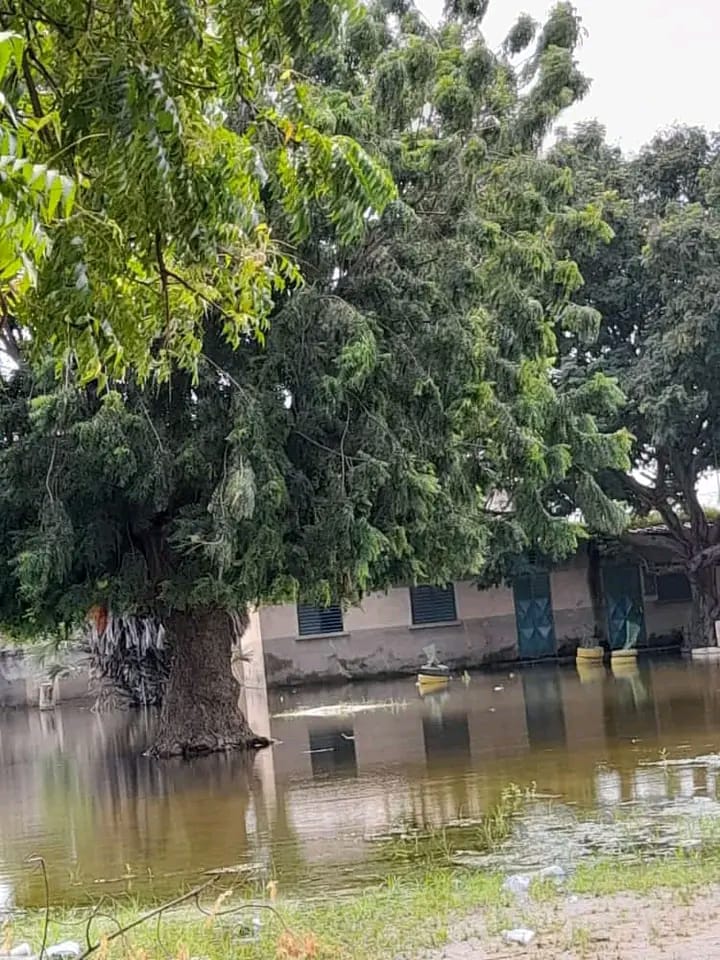 Kaolack : Deux semaines après la rentrée des classes, l’école élémentaire de Gawane toujours sous les eaux