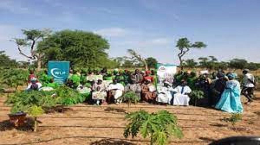 Vulgarisation des droits fonciers des femmes : Le Sénégal parmi trois pays visés par cette campagne