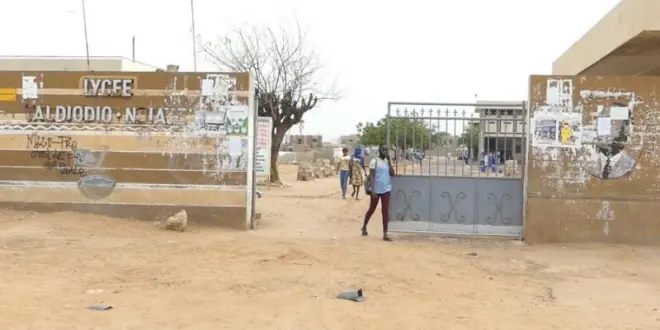 Lycée Valdiodio Ndiaye de Kaolack : ‘’Ce lycée est devenu une zone de divagation des animaux, un refuge pour chiens enragés et autres reptiles », dénonce-les parents d’élèves