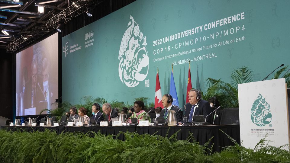 COP15 : signature d’un « accord historique » sur la biodiversité