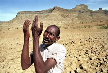Etude Climat : Alerte sur les répercussions des changements climatiques sur le quotidien des Africains