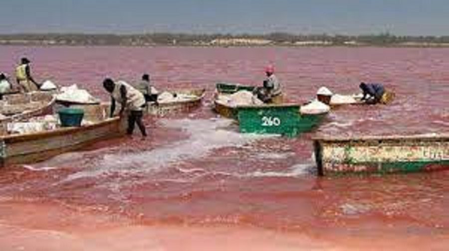 Environnement : Un comité régional de développement spécial pour la sauvegarde du Lac Rose en gestation