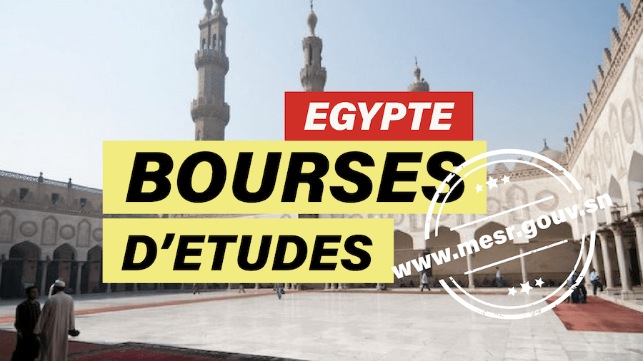 La ligue nationale des étudiants sénégalais en Egypte plaide pour une augmentation du nombre de bourses