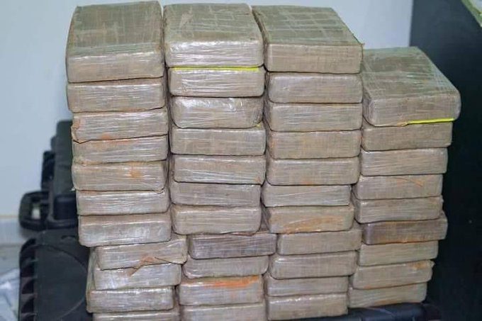 Saisie record de 1137,6 kg de cocaïne à Kidira d’une contrevaleur estimée à plus de 90 milliards de francs CFA