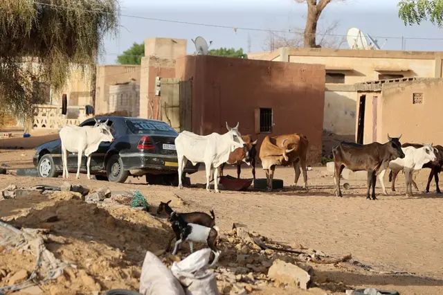 Sénégal : la fièvre de la vallée du Rift fait 10 morts et 74 cas confirmés