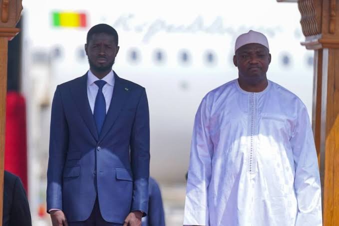Diomaye Faye en Gambie pour renforcer la coopération entre Dakar et Banjul